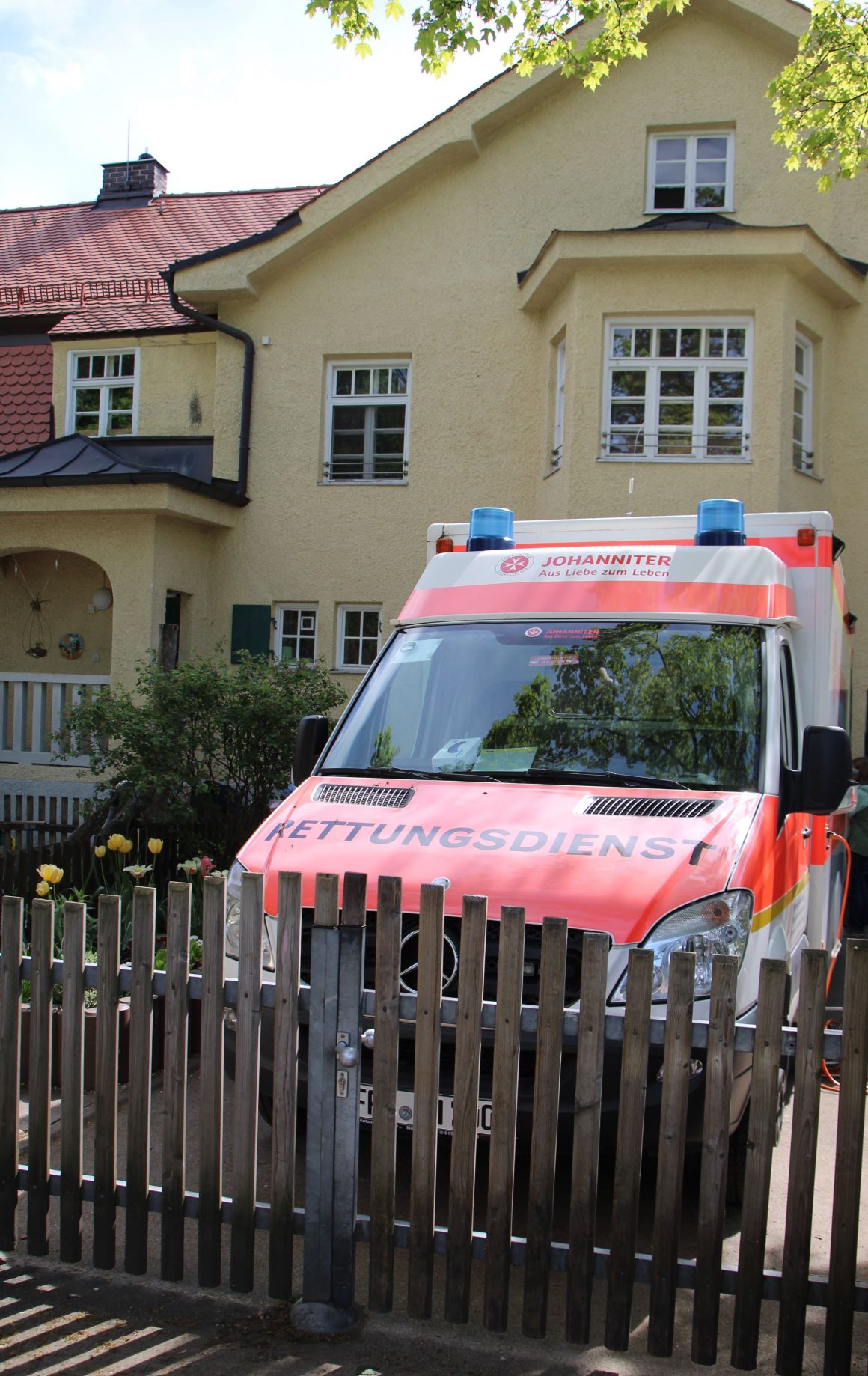 Kuscheltiersprechstunde in der Villa Kunterbunt Kuscheltiersprechstunde in der Villa Kunterbunt